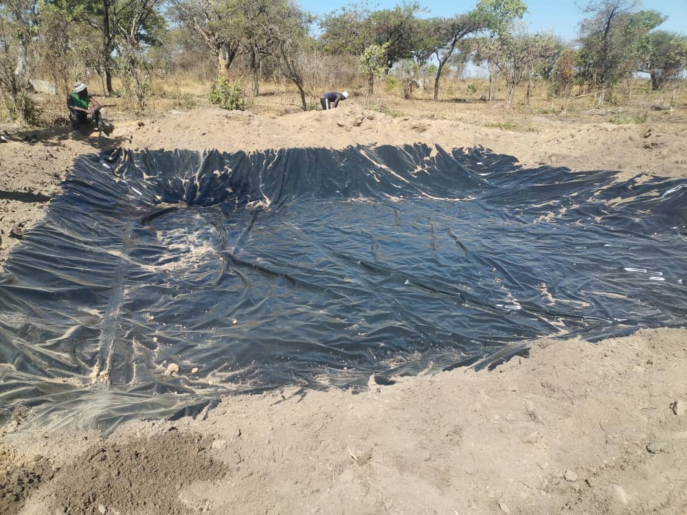 Fish Pond Construction